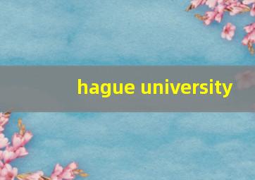 hague university